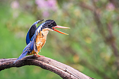 FUCKGay   無套視頻：游戲新體驗(yàn)，視頻冒險(xiǎn)之旅