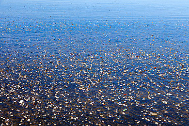 minecraft珍妮動(dòng)畫入口：Minecraft動(dòng)畫引關(guān)注，探險(xiǎn)之旅等你來！-1