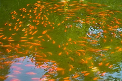 mr好色先生：娛樂圈“好色先生”：愛戀時(shí)尚，熱心公益-1