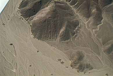 7277、tv艷女直播：直播盛宴：艷女主播大秀才藝