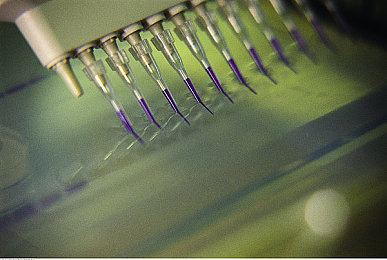 1995版意大利叢林泰山：叢林冒險新篇章，經(jīng)典重燃熱情-1