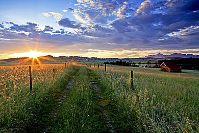 OPPO手機(jī)黃色軟件：OPPO驚曝：隱私泄露，性能卡頓！-2