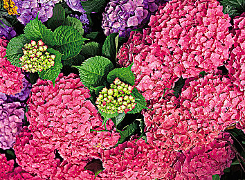 GAy無套GayGay無套：“GAy無套引關注，健康觀念待提升”-2