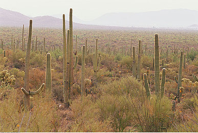 30歲人妻少婦69XX：職場賢妻，公益達(dá)人，她如何兼顧？-1