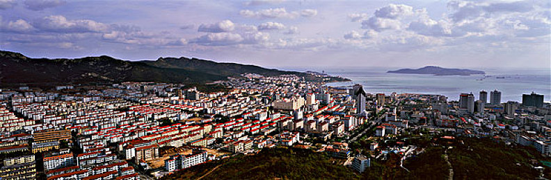 gay體育生：電競(jìng)冠軍：他，用實(shí)力征服世界