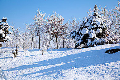 99久熱：奇幻異世界，冒險(xiǎn)尋寶藏-1