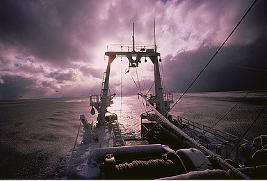 Chinese無套video：視頻游戲新潮流，中國(guó)開發(fā)實(shí)力顯-3