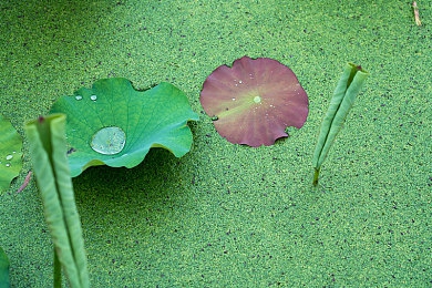 lls888.app 192.168.0.1ll:應(yīng)用新秀:一站式服務(wù)大揭秘-2