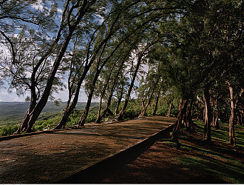 3.03免費(fèi)OPPO版破解大全免費(fèi)下載：OPPO破解大全免費(fèi)解鎖，潛能無限！-4