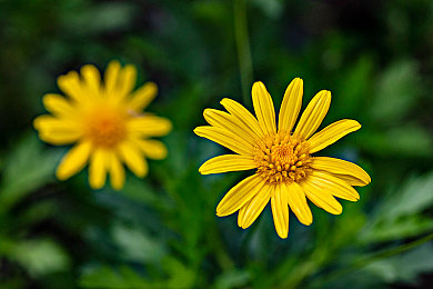 91天美：繁華都市，91天美的視覺盛宴-2