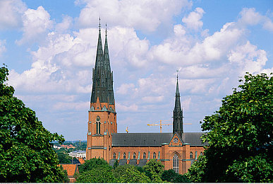 GAy無套GayGay無套：“GAy無套引關注，健康觀念待提升”-3