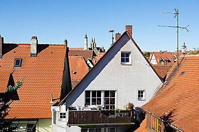 3.0.3免費(fèi)oppo版破解大全：破解秘籍！暢玩3.0.3免費(fèi)版-2