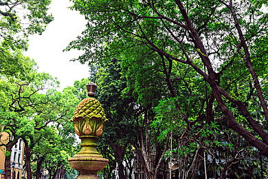 77v7vCC最新版本更新內(nèi)容分享：軟件升級大揭秘，77v7vCC新版本驚艷亮相-2