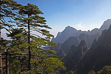 911八卦爆料網(wǎng) 最新爆料：八卦風(fēng)暴來(lái)襲，真相大揭秘！