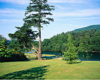 BBw農村野外性BBw：農村文化盛宴，鄉(xiāng)村振興新活力-2