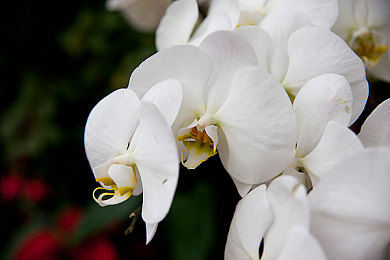 av傳媒：短視頻黑馬崛起，av傳媒未來可期-1