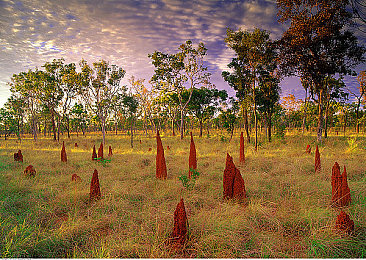 99熱.com：生活服務(wù)新升級，99熱體驗升級！-2