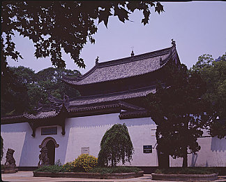 99re這里有：神秘大陸冒險記，游戲新體驗-1