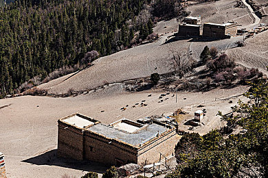 火影黃油,經(jīng)典IP新升級(jí)，火影游戲引期待