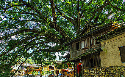 911每日大賽：每日盛宴，競(jìng)技風(fēng)云再起-3