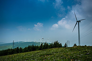 JuliaAnn戰(zhàn)黑人：勇敢女孩挑戰(zhàn)歧視，促種族平等-2