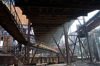 1995年意大利版泰山hr版：泰山HR版：1995年意大利市場(chǎng)爆款再現(xiàn)-1