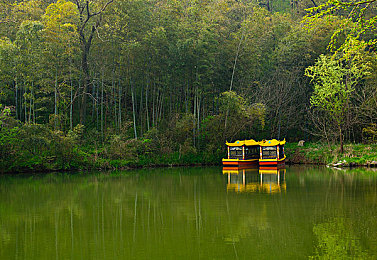 AV軟件下載：娛樂軟件下載，安全指南揭秘-4