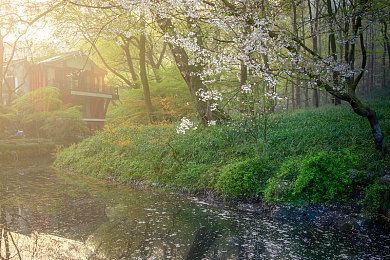 GayFuckTube西北君君：短視頻達(dá)人走紅，西北風(fēng)趣生活引關(guān)注-3