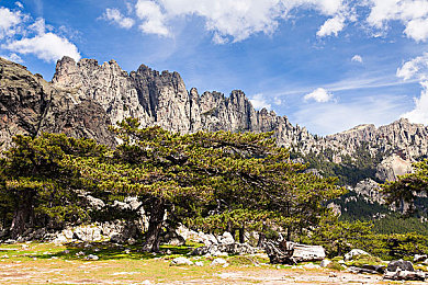 91色虎：短視頻新秀：91色虎崛起之謎-2