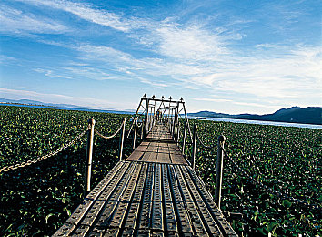 jd京東影業(yè)傳媒www軟件介紹：影視神器：京東影視軟件大揭秘-3