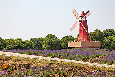 3DXXXX動(dòng)漫XXXX魅魔：探尋失落寶藏，3D動(dòng)漫魅魔大冒險(xiǎn)