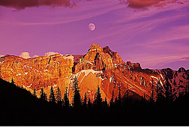 TaiwanGAY臺(tái)灣0色直男：直男視角游戲，臺(tái)灣風(fēng)情大揭秘-1