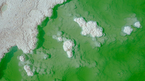 24小時日本在線www免費的：日本文化盛宴，免費在線暢享-2