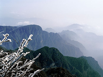 lutube污：短視頻平臺風波：低俗內(nèi)容引發(fā)關(guān)注