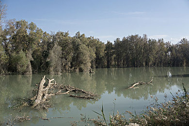100%Vendos：購物新體驗，社交新天地-1