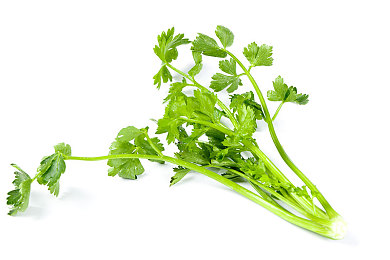 51國產(chǎn)黑料吃瓜張津瑜蘑菇：網(wǎng)紅張津瑜風(fēng)波，真相揭秘-1