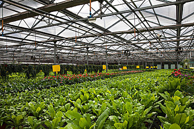 gogogo大膽藝術(shù)風(fēng)格分析報告：藝術(shù)新星gogogo，風(fēng)格獨步江湖-1