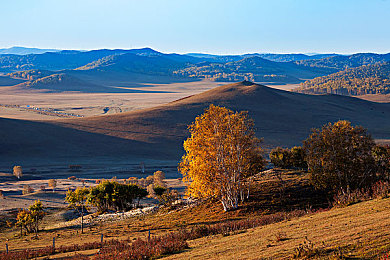 Juliaann辦公室與黑人:都市辦公室:多元文化碰撞的溫馨港灣-2