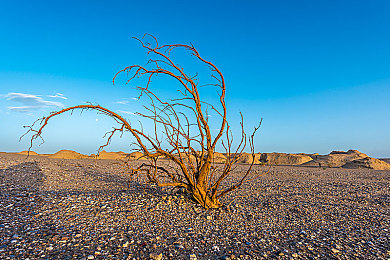 99熱這：社交新寵崛起，APP成年輕人新寵-2