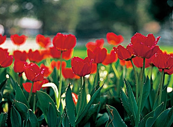 35歲 totakkahayakirguzx 相關(guān)信息：科技新星成長(zhǎng)記：35歲才俊創(chuàng)輝煌-3