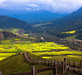 69人人人人人：短視頻達(dá)人創(chuàng)新舞步走紅，成網(wǎng)絡(luò)熱門話題-3