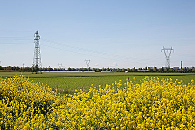 3d強(qiáng)斗破蒼穹美杜莎人物游戲：斗破新紀(jì)元，美杜莎傳奇-4