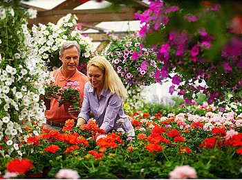 張柏芝口交,明星聚會(huì)疑現(xiàn)親密互動(dòng)，張柏芝形象受影響