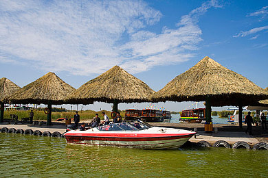 4438x20全國大免：游戲盛宴來襲，福利大放送！-2