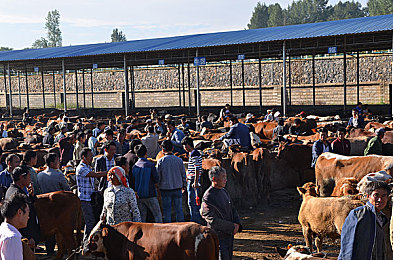 8x8x華為海外免費(fèi)2025：華為2025，全球通信新變革-4