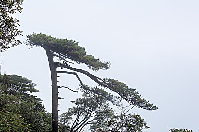 9I制作廠白晶晶：智造先鋒，白晶晶引領(lǐng)潮流-2