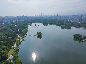 japonensisfes vedaoHD：高清盛宴，盡在指尖-1