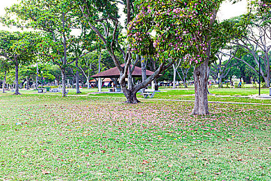 ass美女撒尿Pics小便：游戲新視角，視覺盛宴來(lái)襲-1