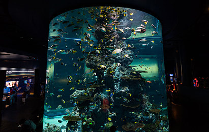 ChineSe露臉ⅤideOS嫖妓：神秘大陸冒險，新游戲體驗如何？-2