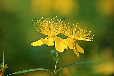 9-1女主角排行：游戲女神榜揭曉，《9-1》女主角引熱議-2